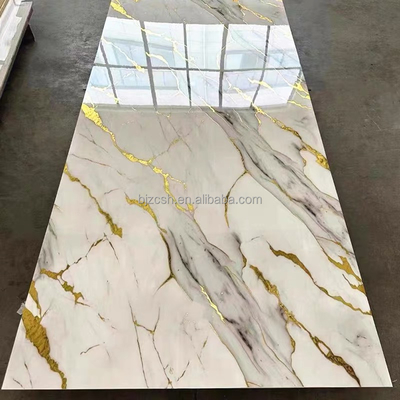Ποιότητα Modern PVC Wall Panel Waterproof Fireproof for Indoor Decoration εργοστάσιο